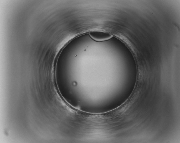 X0000102300902200808011537