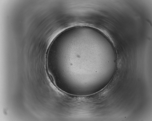 X0000102300903200808011537