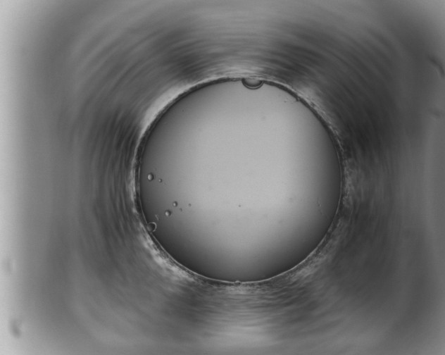 X0000102300904200808011537