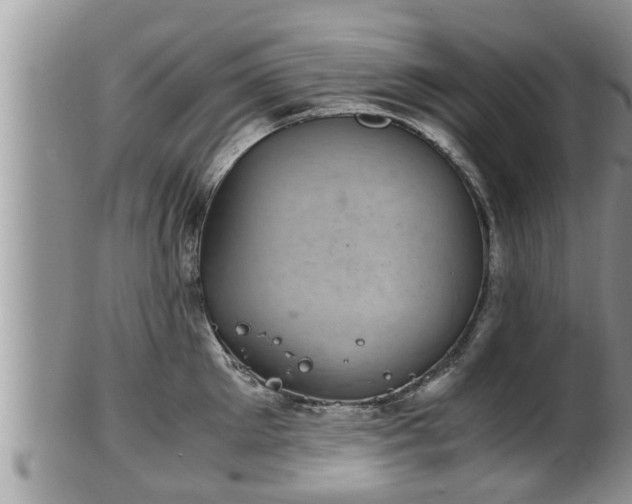 X0000102300905200808011537