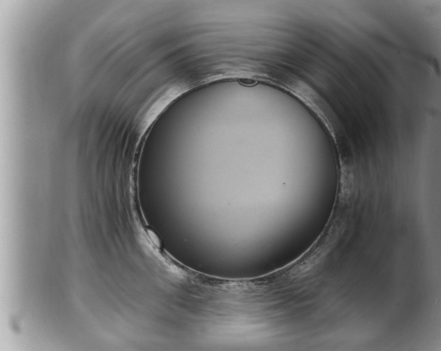 X0000102300906200808011537