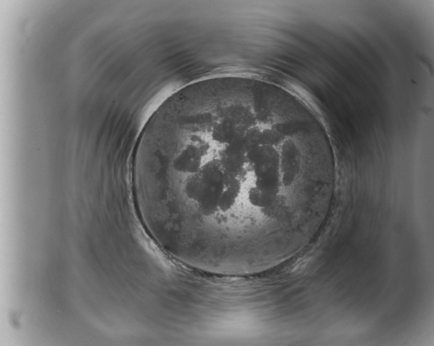 X0000102300907200808011537