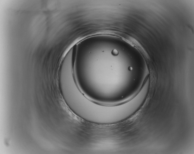 X0000102300908200808011537