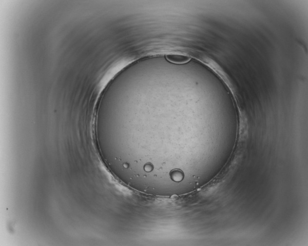 X0000102300909200808011537