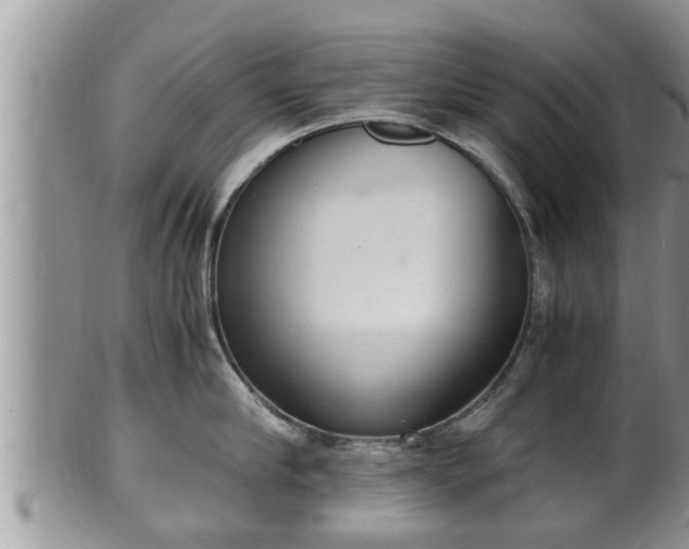 X0000102300910200808011537