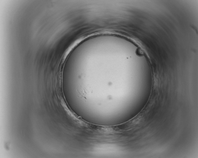 X0000102300911200808011537