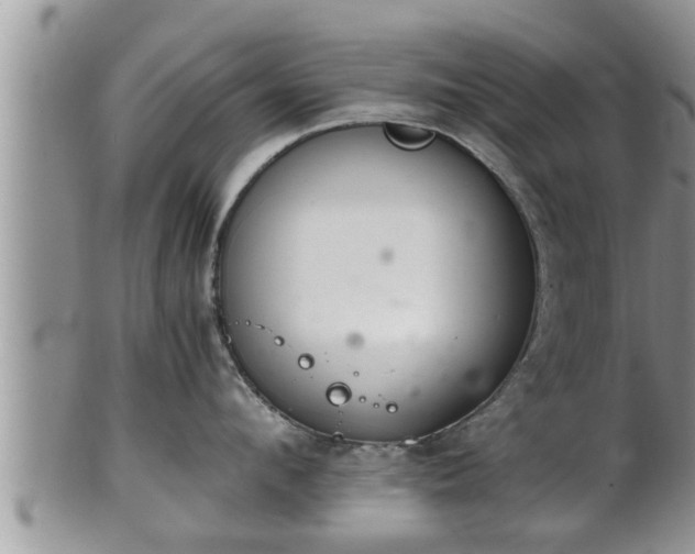 X0000102300912200808011537