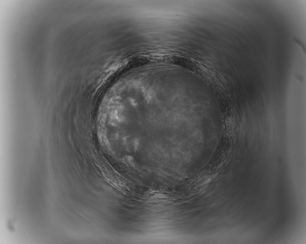 X0000102300913200808011536