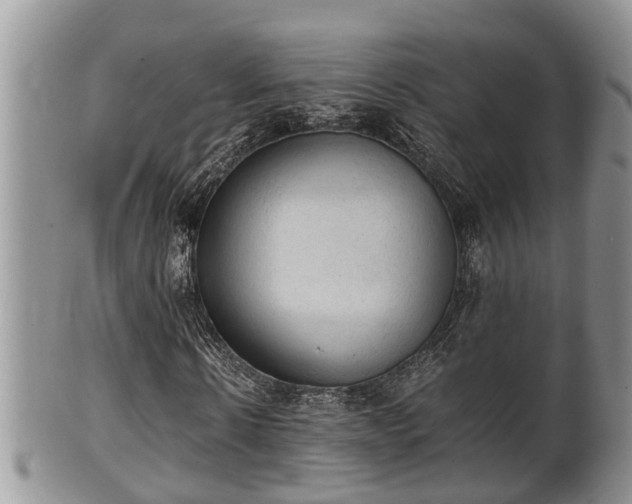 X0000102300914200808011536