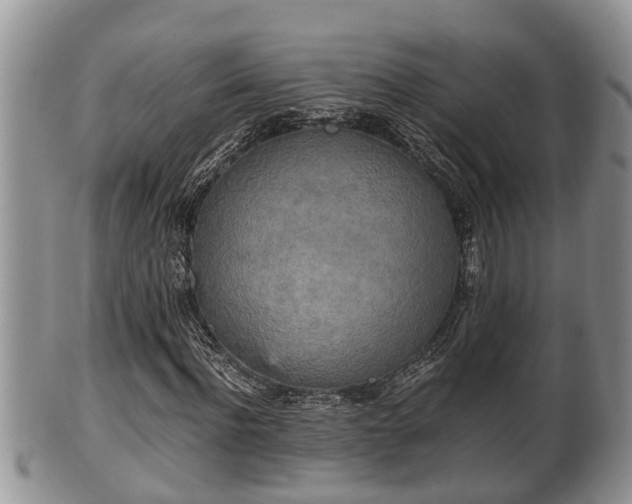 X0000102300916200808011536