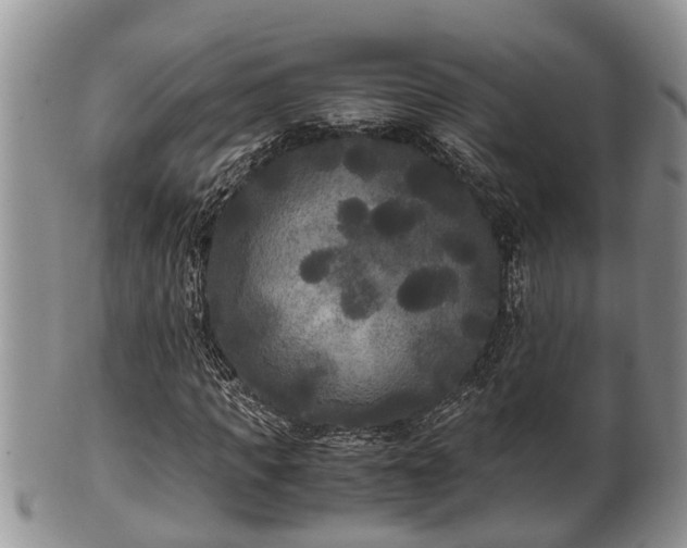 X0000102300917200808011536