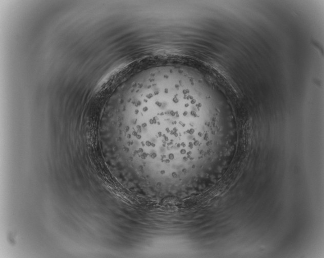 X0000102300919200808011536