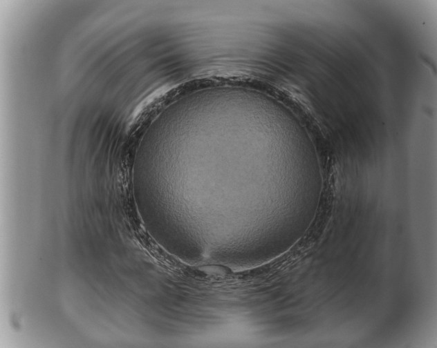 X0000102300920200808011536