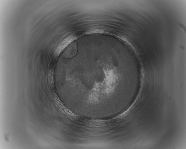 X0000102300921200808011536