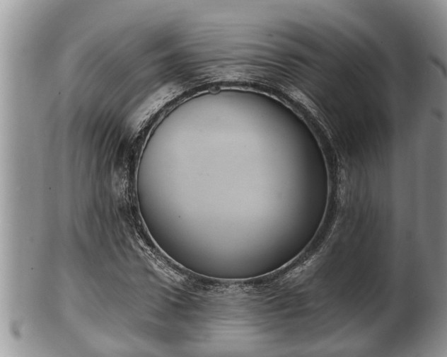 X0000102300922200808011536