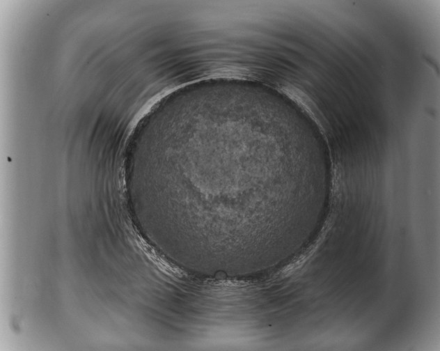 X0000102300923200808011536