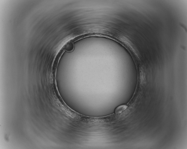 X0000102300924200808011536