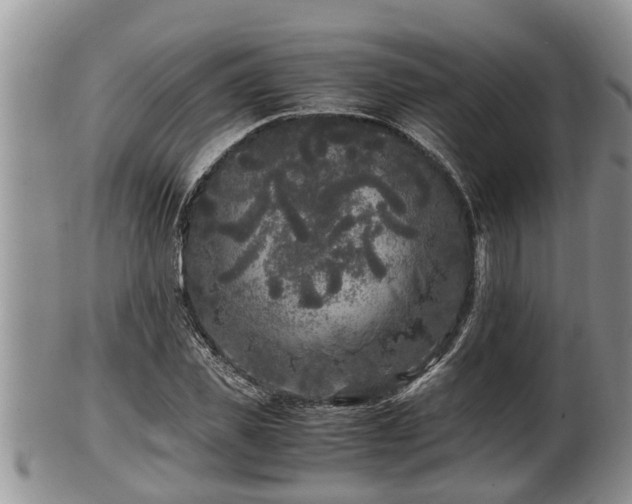 X0000102300925200808011536