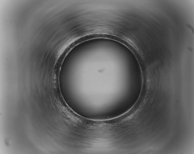 X0000102300926200808011536