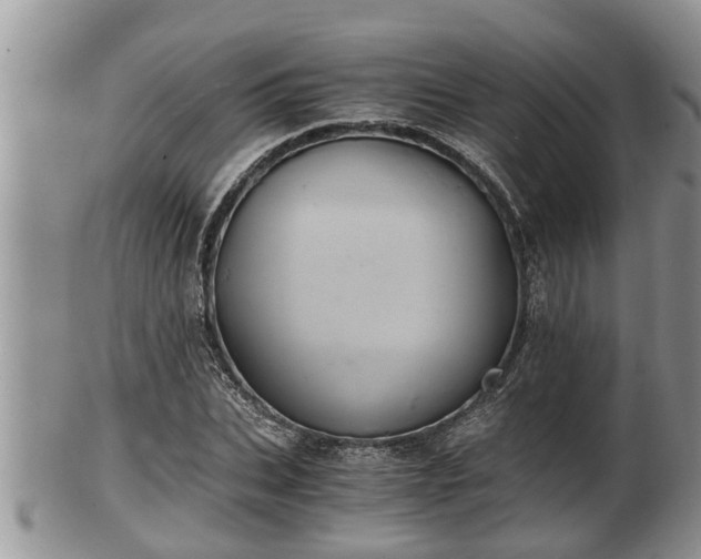 X0000102300927200808011536