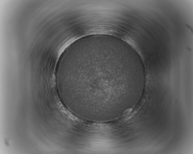 X0000102300928200808011536