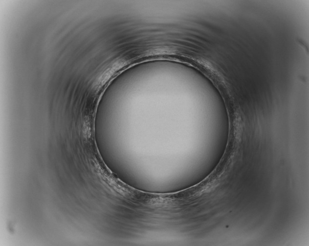 X0000102300929200808011536