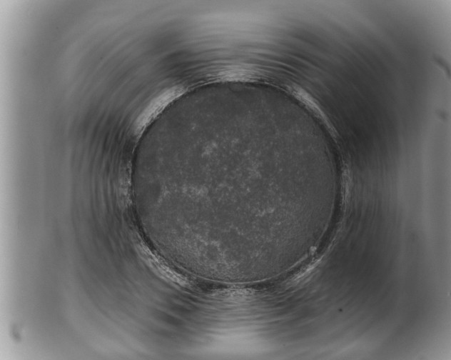 X0000102300930200808011536