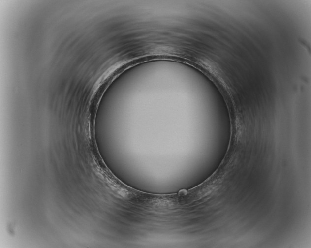 X0000102300931200808011536