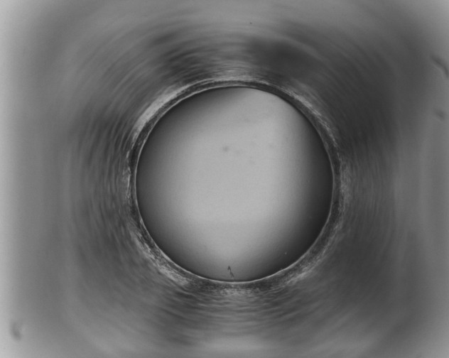 X0000102300933200808011536