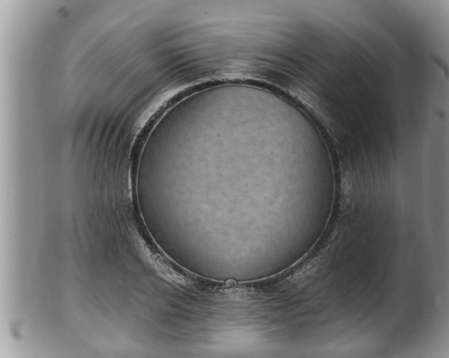 X0000102300934200808011536