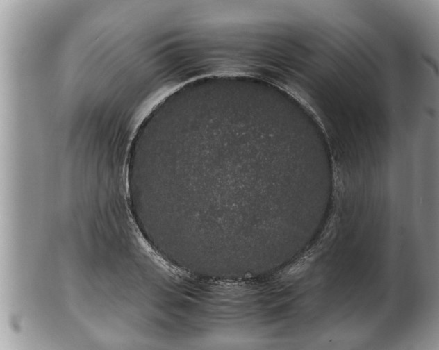 X0000102300935200808011536