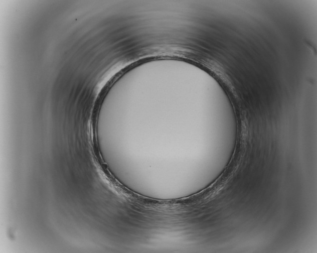 X0000102300936200808011536