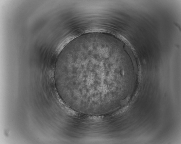 X0000102300937200808011536