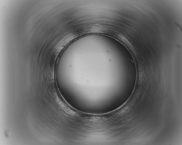 X0000102300938200808011536