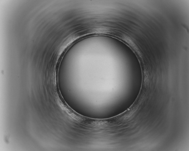 X0000102300939200808011536