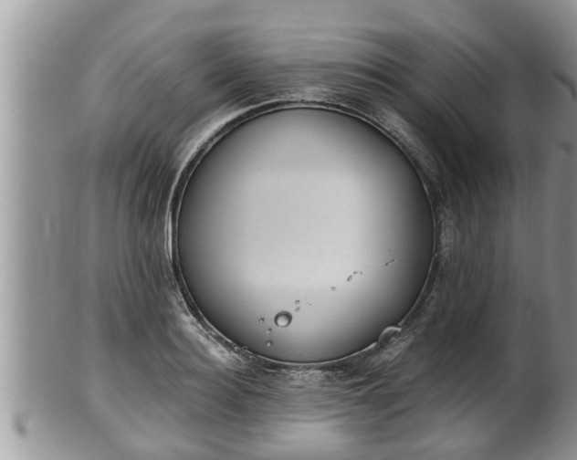 X0000102300940200808011536