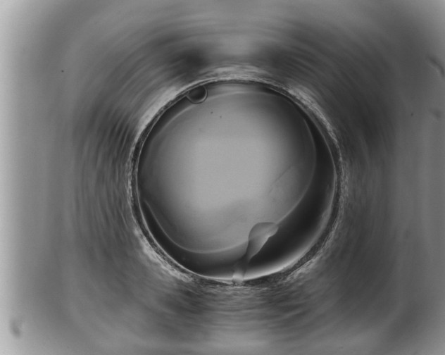 X0000102300941200808011536