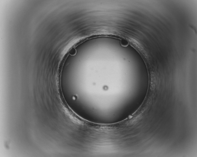 X0000102300942200808011537