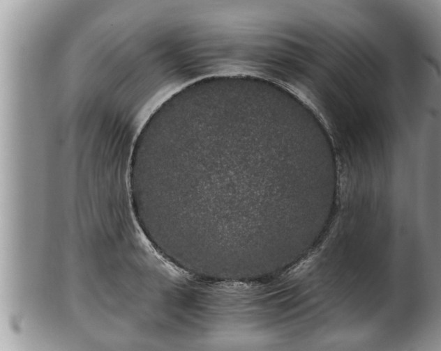 X0000102300943200808011537