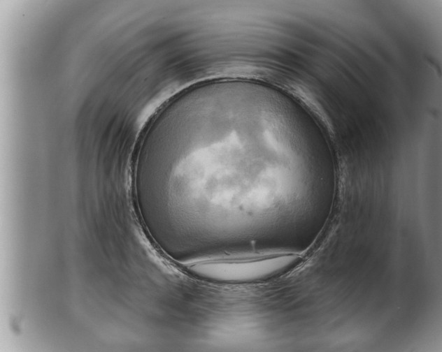 X0000102300944200808011537