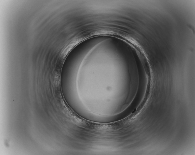 X0000102300945200808011537