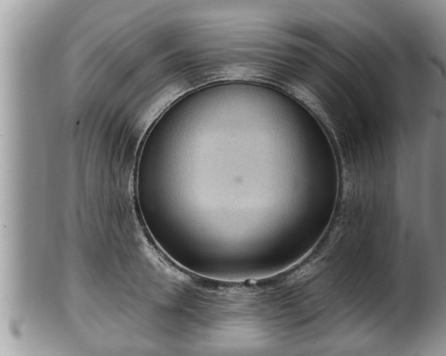 X0000102300946200808011537