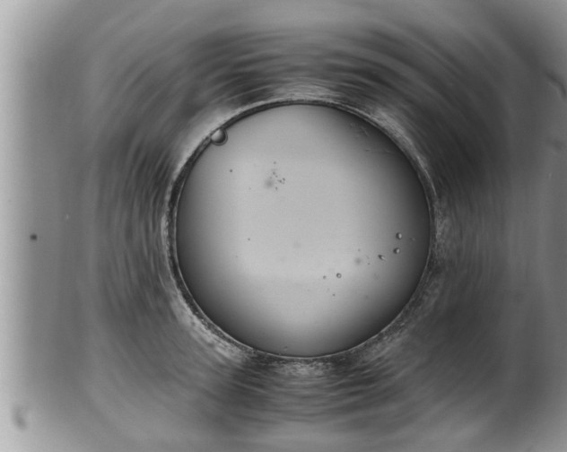 X0000102300947200808011537