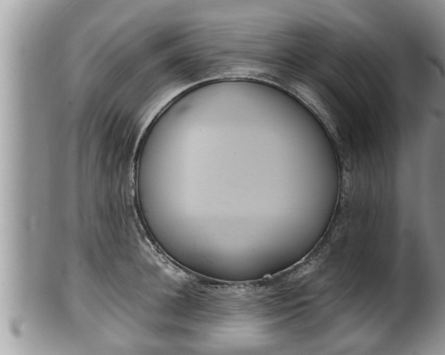 X0000102300948200808011537