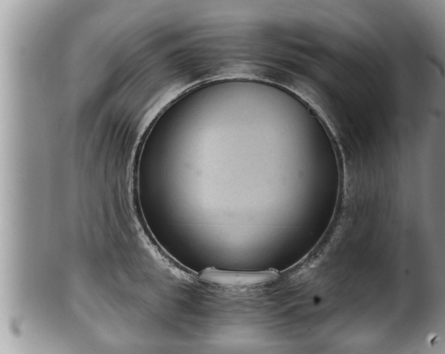 X0000102300949200808011537