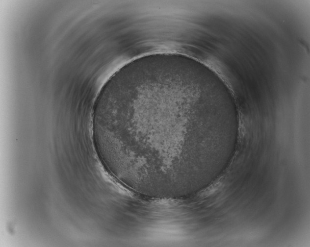 X0000102300950200808011537