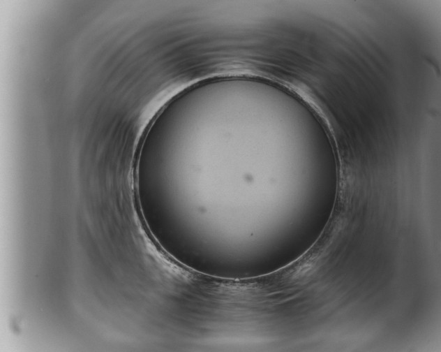 X0000102300951200808011537