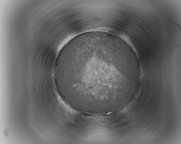 X0000102300952200808011537