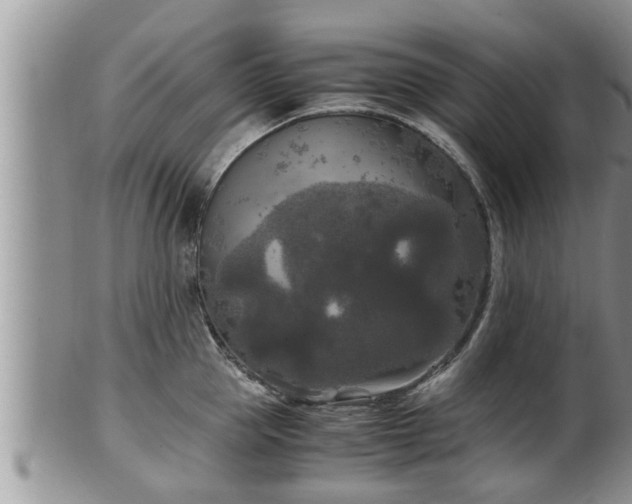 X0000102300953200808011537