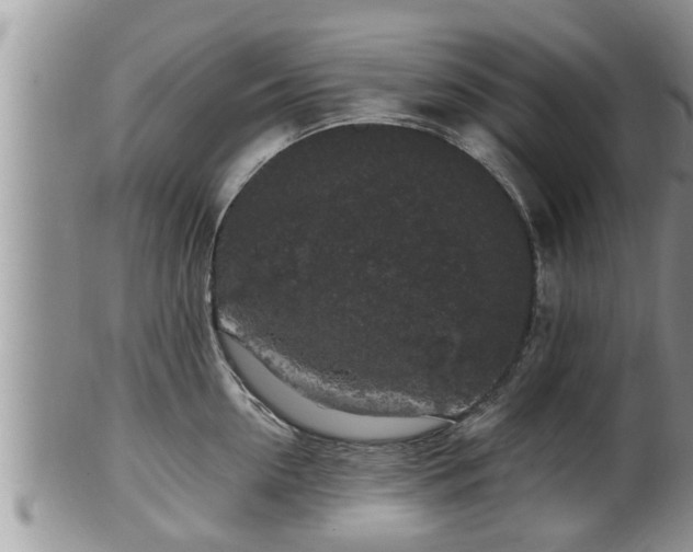 X0000102300954200808011537